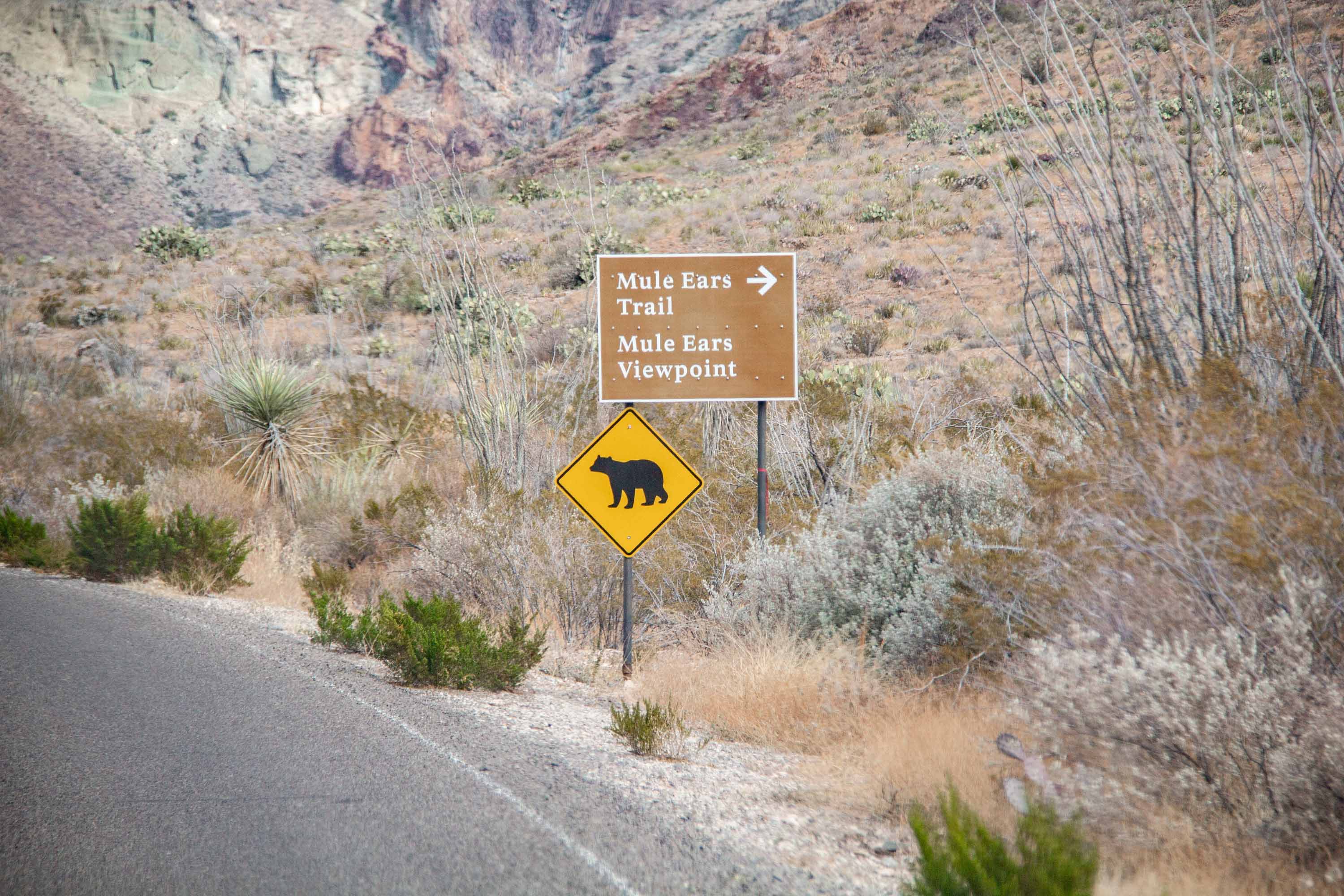 Mule Ears —— 2025