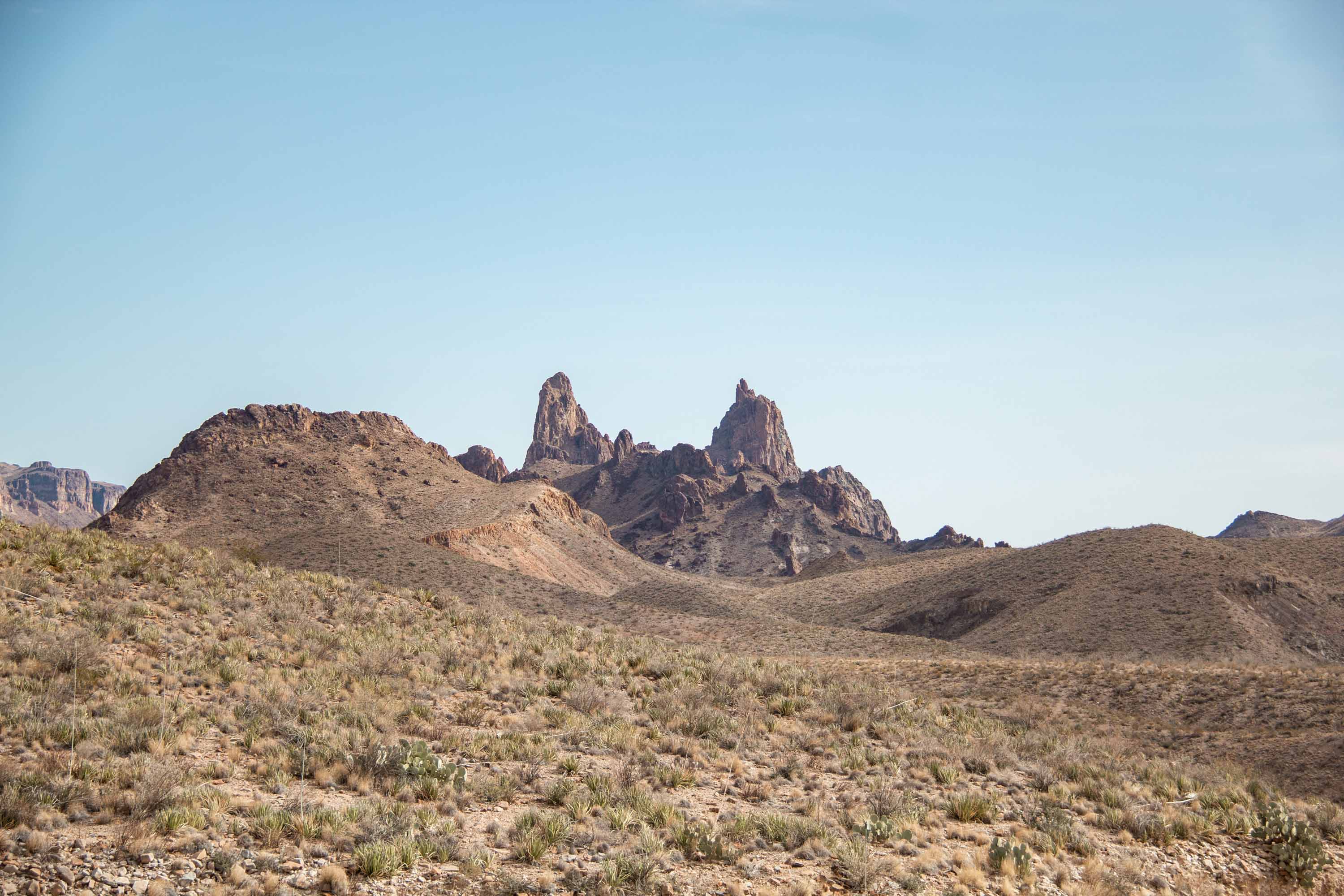 Mules Ears —— 2025