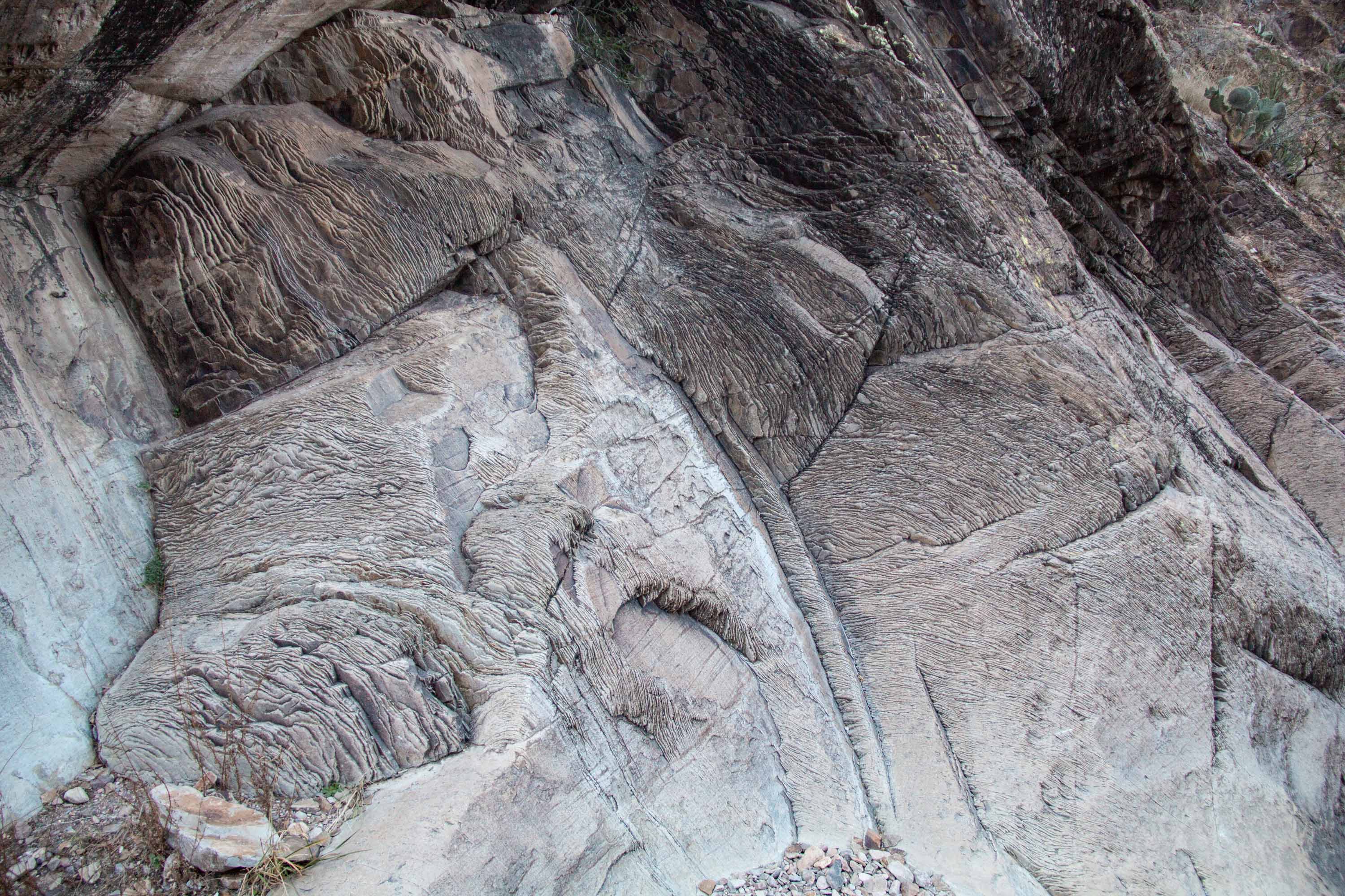 Big Bend National Park —— 2025