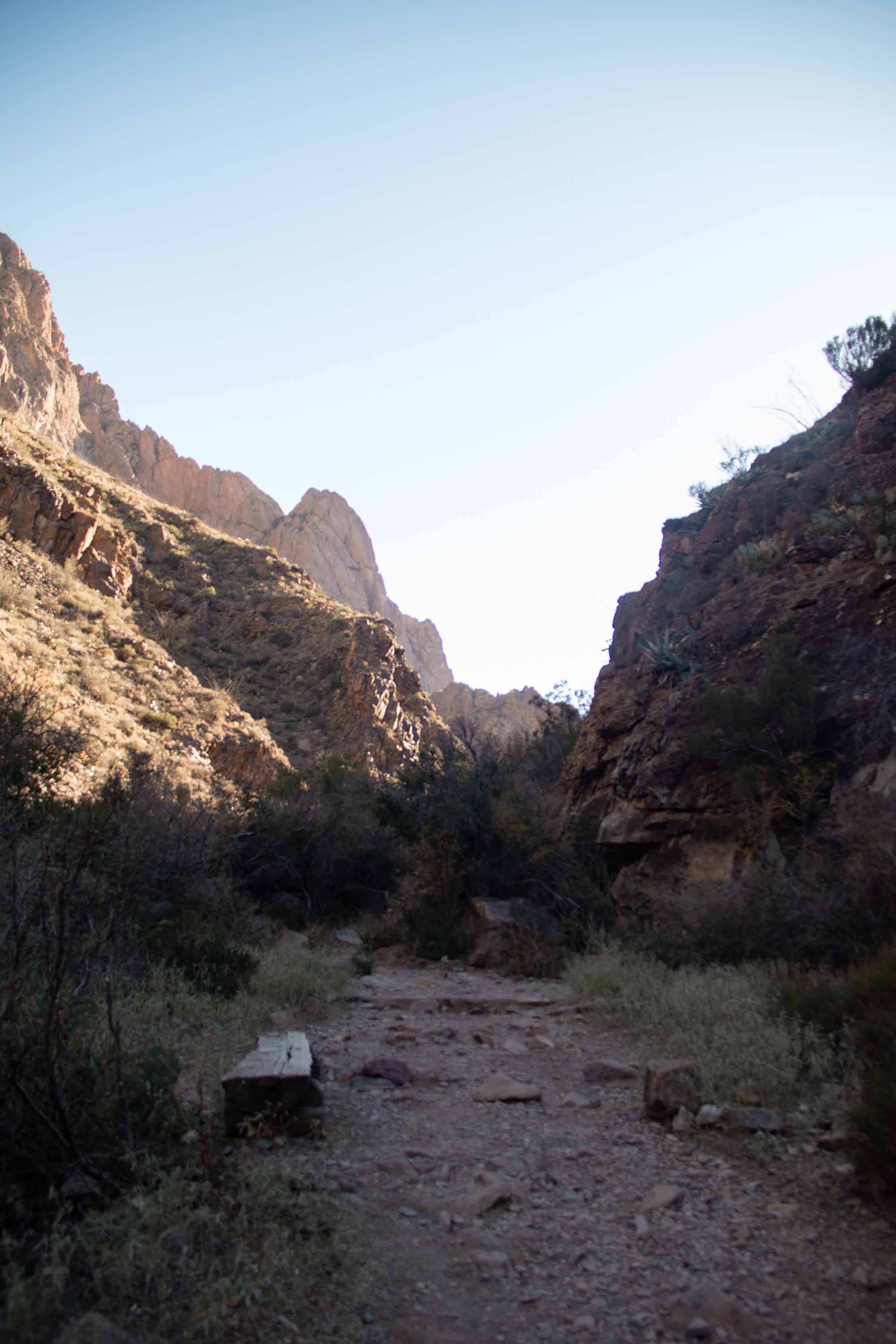 Window's Trail, Big Bend National Park —— 2025