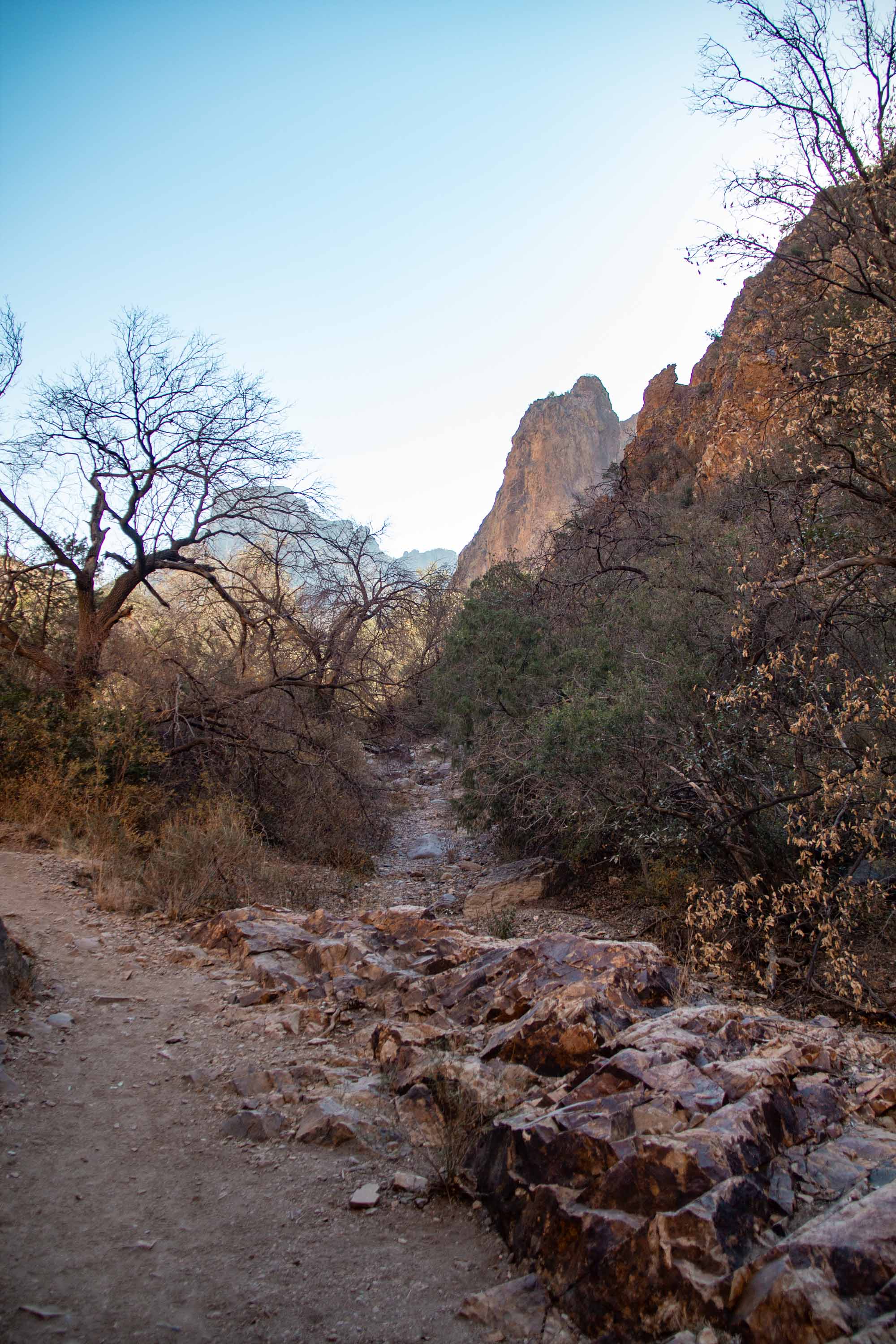 Big Bend National Park —— 2025