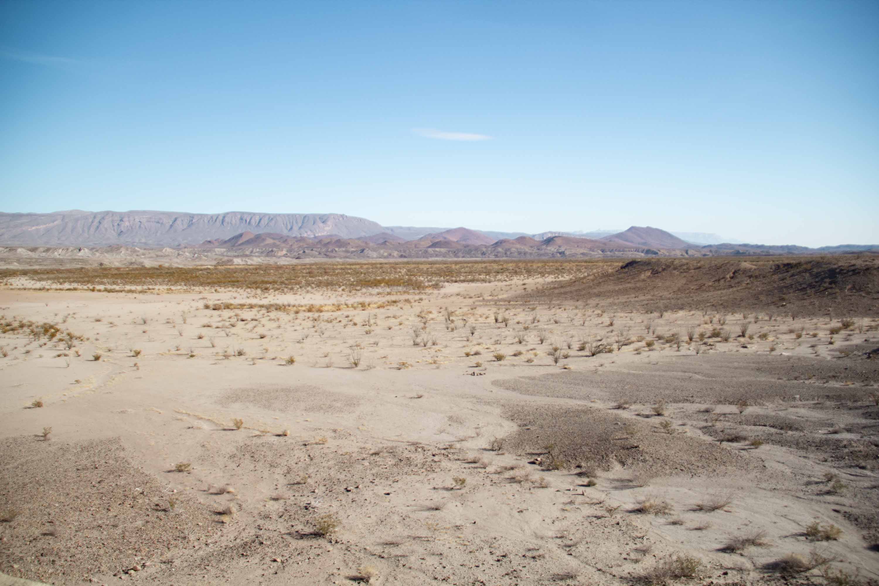 Chihuahua Desert, Big Bend National Park —— 2025