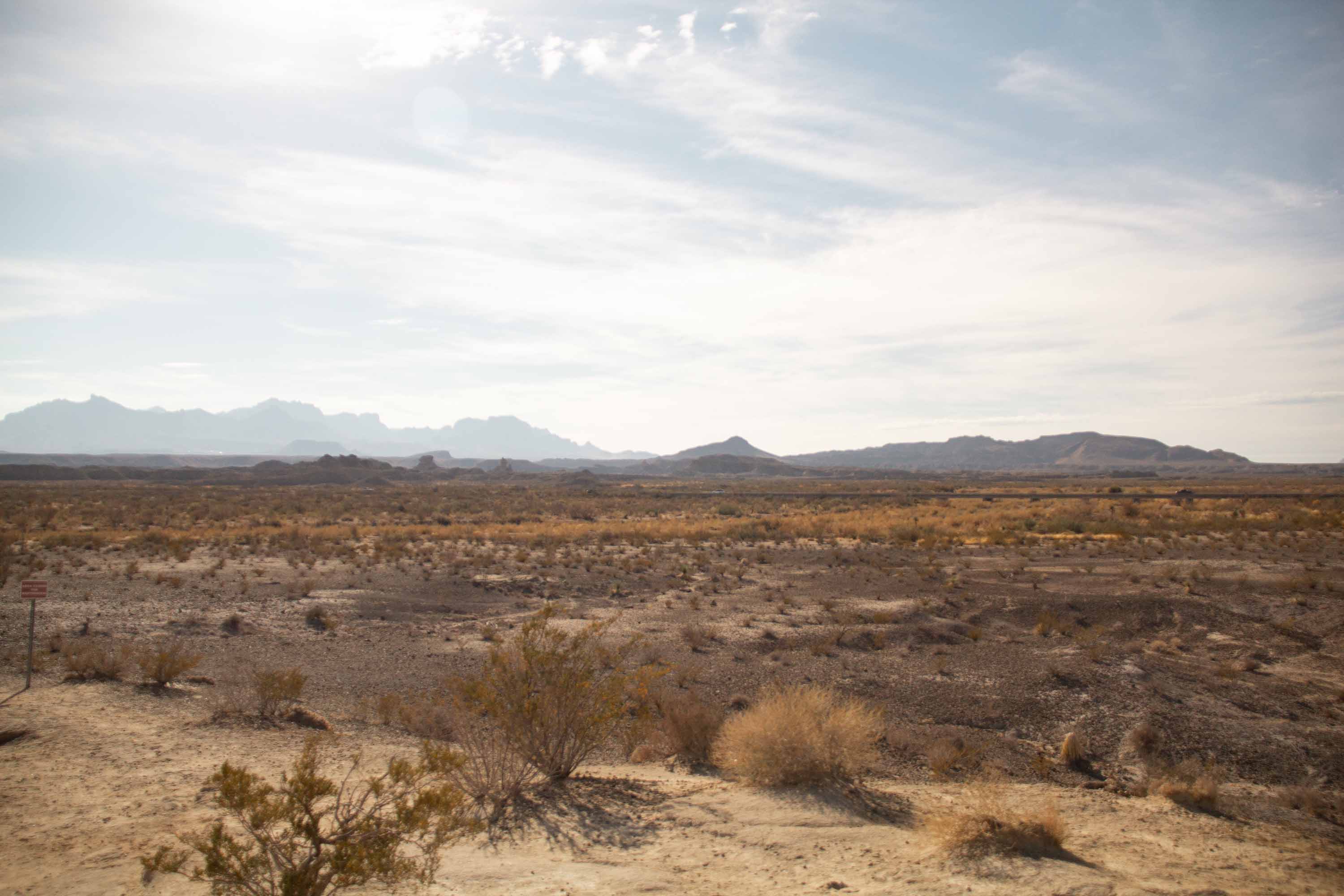 Chihuahua Desert, Big Bend National Park —— 2025