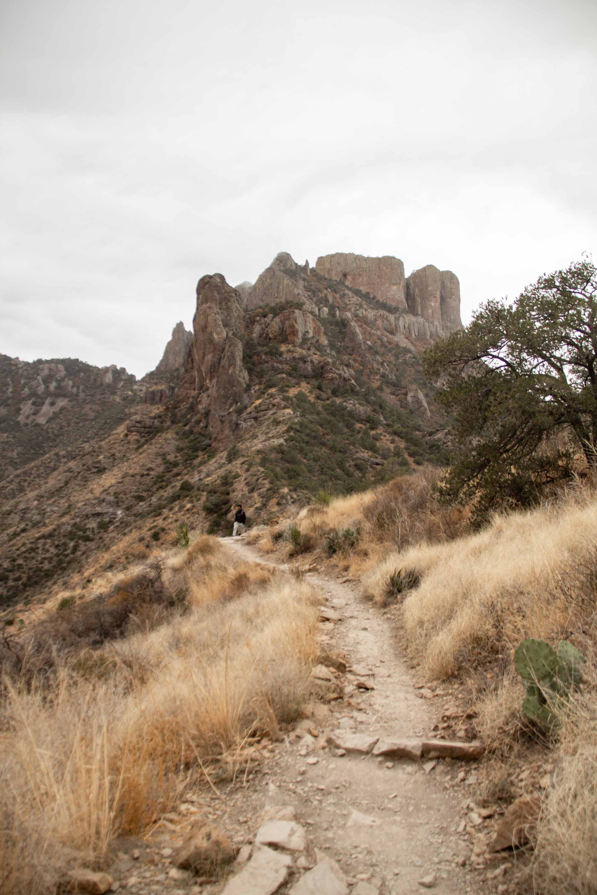 Lost Mines Trail —— 2025