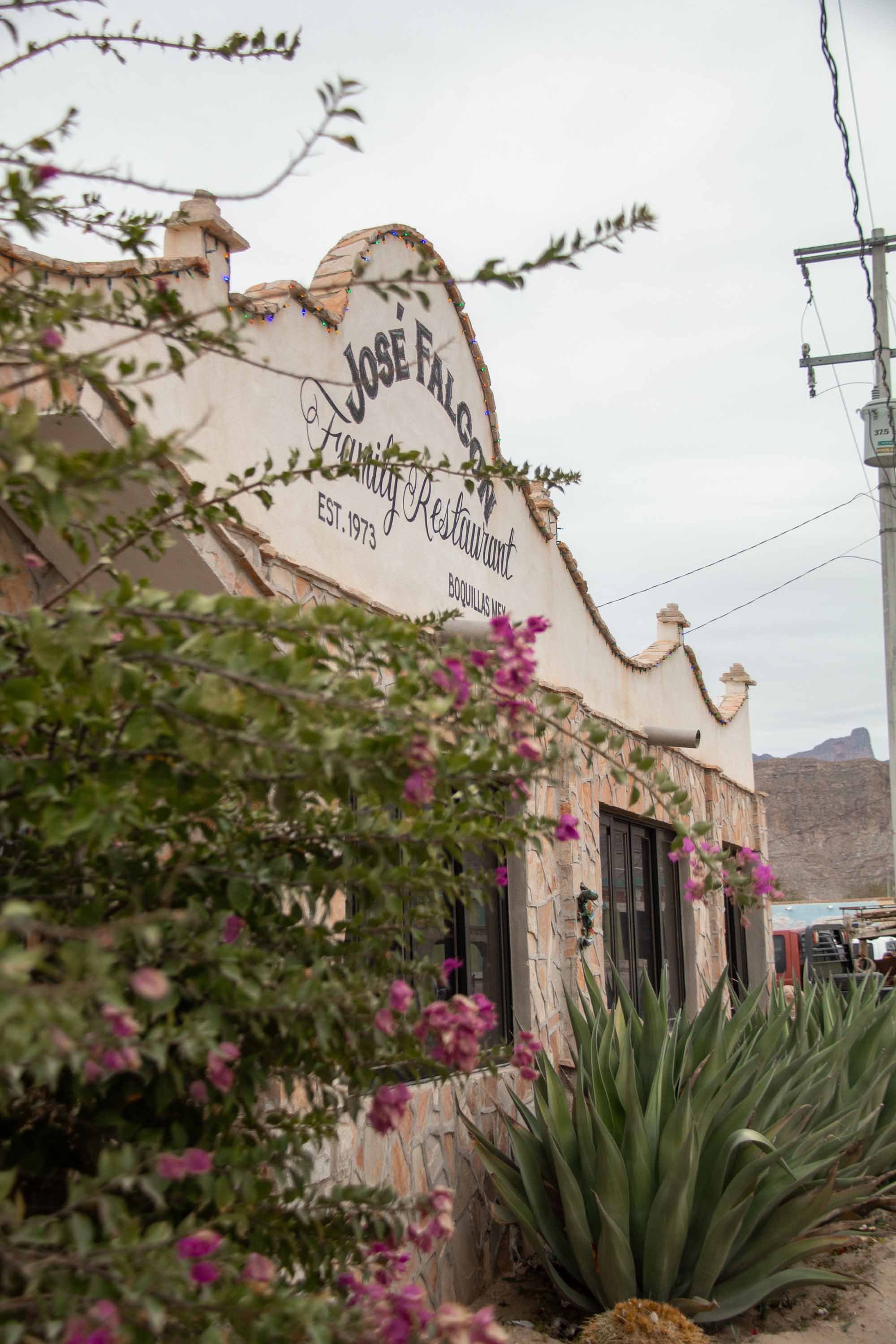 Jose Falcon Family Festaurant —— 2025