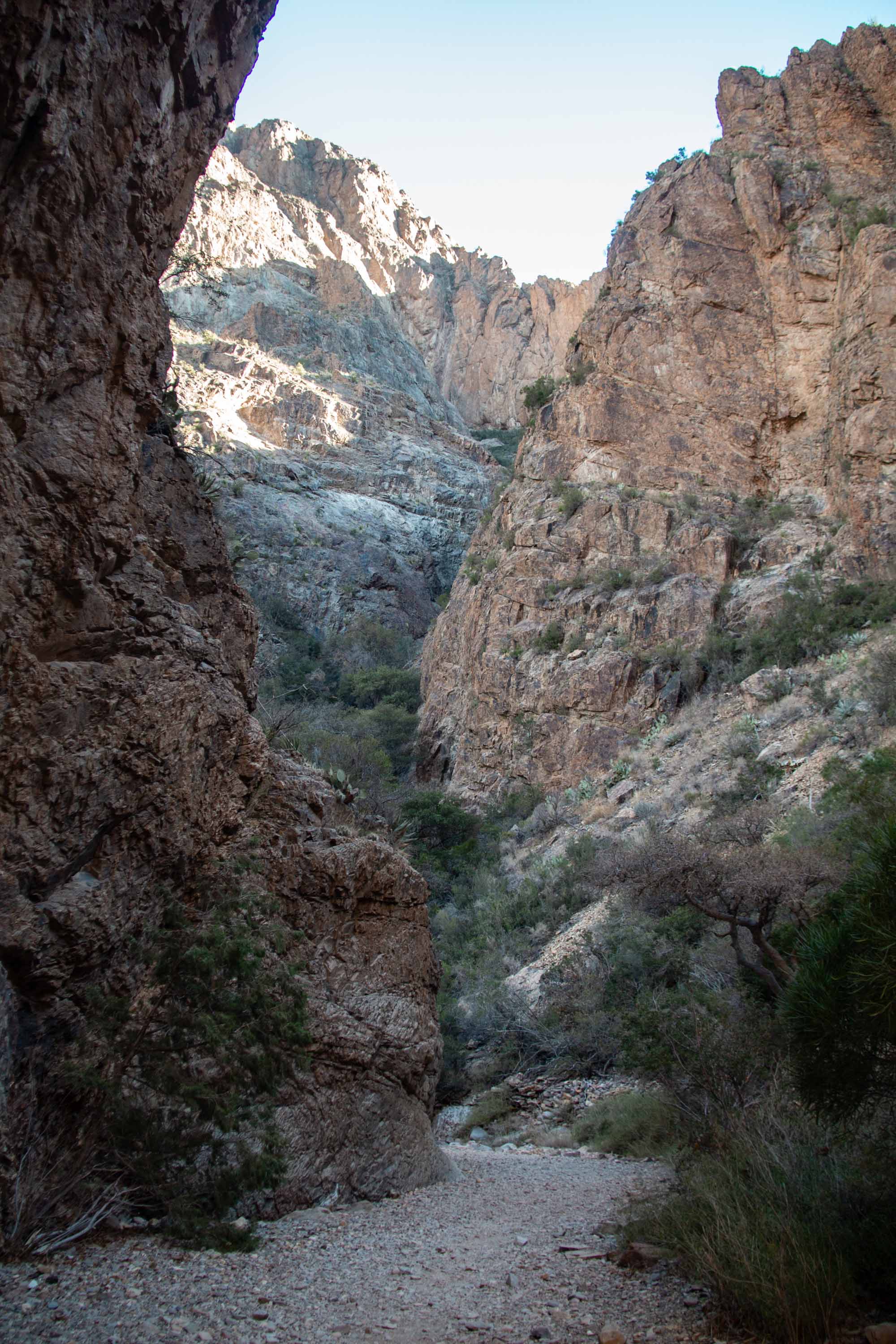 Windows Trail, Big Bend National Park —— 2025