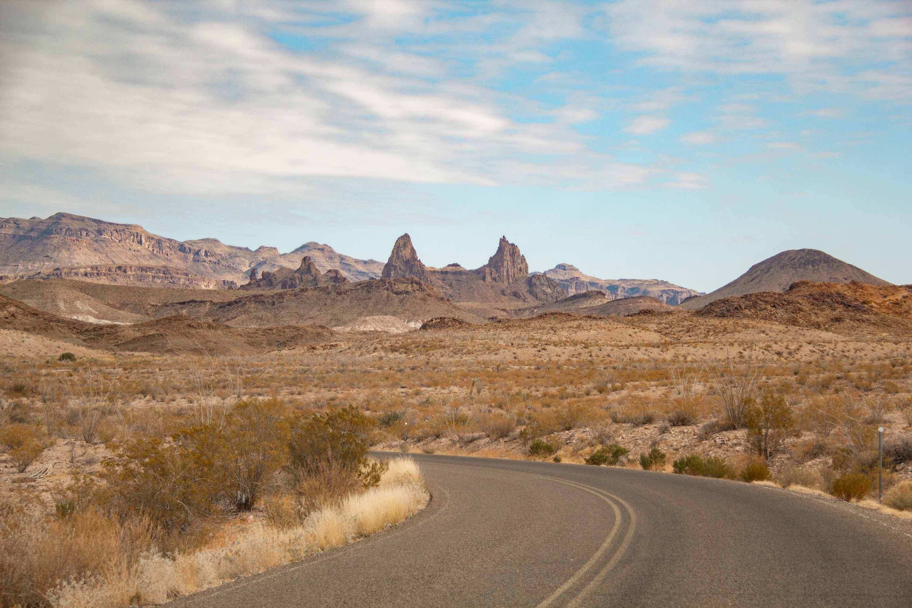 Mule Ears —— 2025